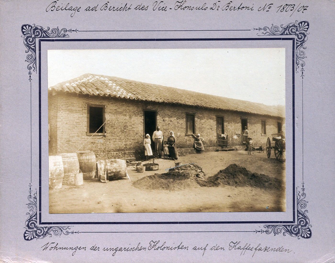 Ungarische Kolonien, tüchtige Südtiroler und eine Roggenähre: Ein Konsularbericht aus Brasilien