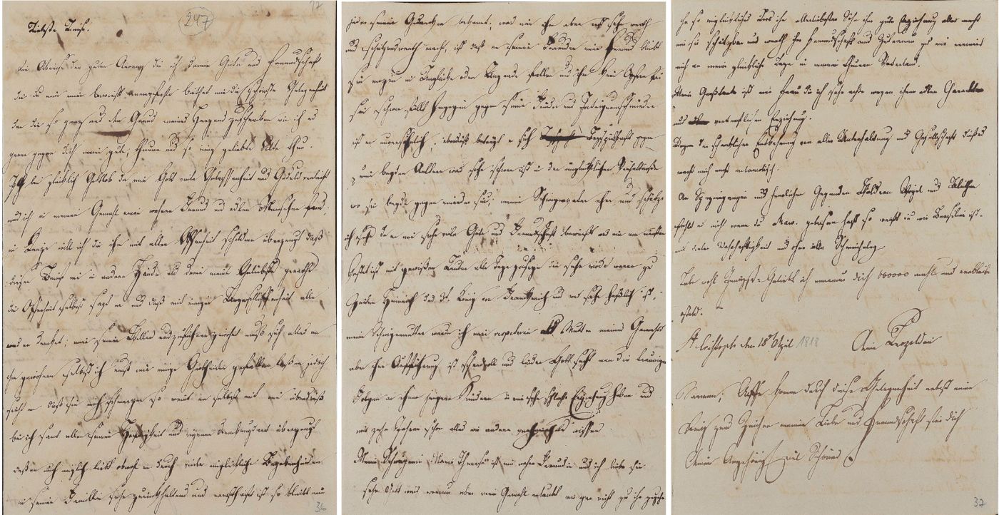 Maria Leopoldine beklagt sich in diesem Exzerpt bei Marie Louise über das schwierige Verhältnis zu ihrem Ehemann Dom Pedro.