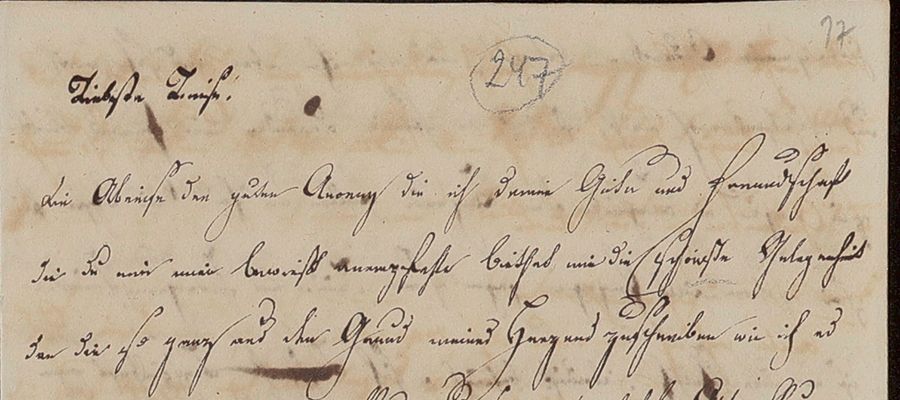 Leopoldine von Brasilien. Österreichische Erzherzogin, brasilianische Kaiserin und unglückliche Ehefrau